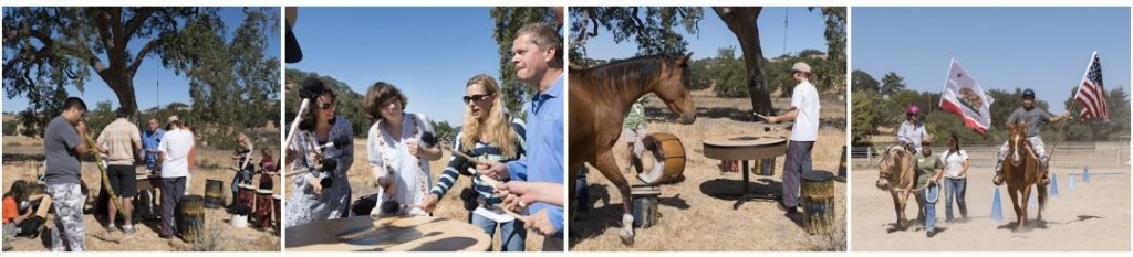 drumming in horse pasture